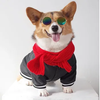 Зимняя одежда для домашних собак, куртка из искусственной кожи, пальто для домашних собак, теплая одежда, Ветрозащитная куртка для щенков, костюмы для маленьких собак, куртка